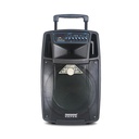 Temeisheng SL10-01 Trolley Speaker